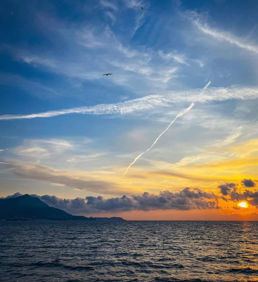 IgersProcida® tweet media