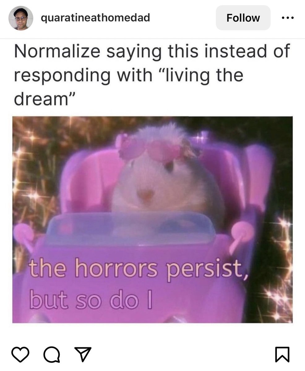 Ali Vaughan tweet media