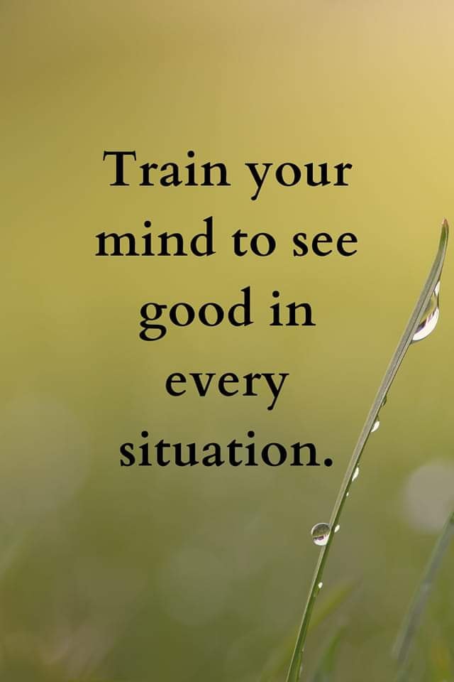🌈🧠 Train Your Mind for Positivity 🧠🌈

'Train your mind to see good in every situation.'

#PositiveMindset #SeeTheGood #OptimismInAction #LifeLessons #MindsetMatters #PositivePerspectives
