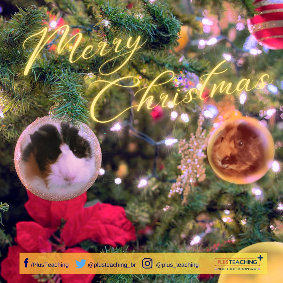 plusteaching_br's tweet photo. #merrychristmas 🎄🎁🎅
#englishteacher #englishlearning https://t.co/C9QjTHtz6h