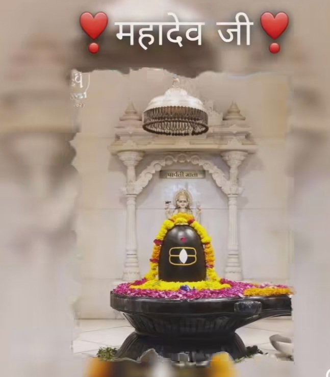 Vishal Arya tweet media