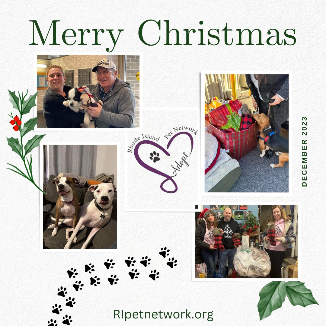ripetnetwork's tweet photo. Wishing you all a happy and safe holiday! 🎄Thank you to all who contributed to our 2023 holiday drive, and to everyone who supports our efforts throughout the year. YOU make our work possible ❤
https://t.co/NVHhemwj8x
#petsinneed #holidaydrive2023 #community #christmas https://t.co/5BYy4csAkw