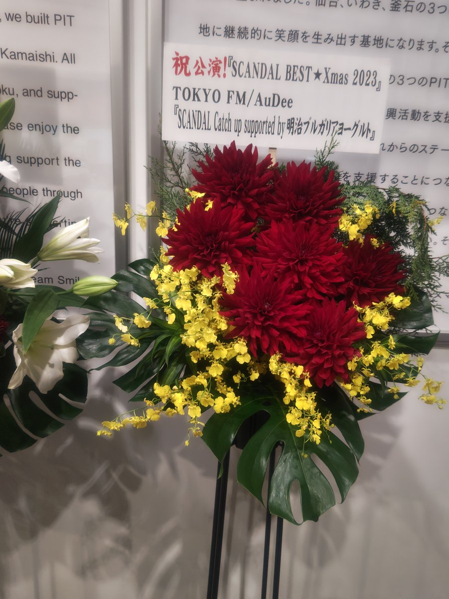 utasiro7's tweet photo. SCANDAL「BEST★Xmas2023」
モーニング娘。恋愛レボリューション21
10年ぶりのどぼんどぼんど
SCANDAL IN THE HOUSE 
去年大雪で行けなかったので去年の分まで最初から楽しめました
当たった衣装をメルカリで売ると出禁にするのことです
 #ベスクリ2023
#SCANDAL https://t.co/Z10h342eNF