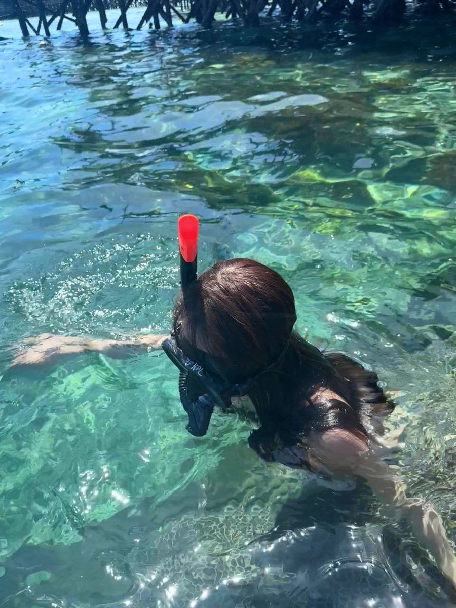 azabache28030's tweet photo. Scuba diving allows you to take your time and get closer to marine life. Once you complete your training, you can explore the world and see fascinating creatures in their natural environment. https://t.co/bsLpTNhoNl