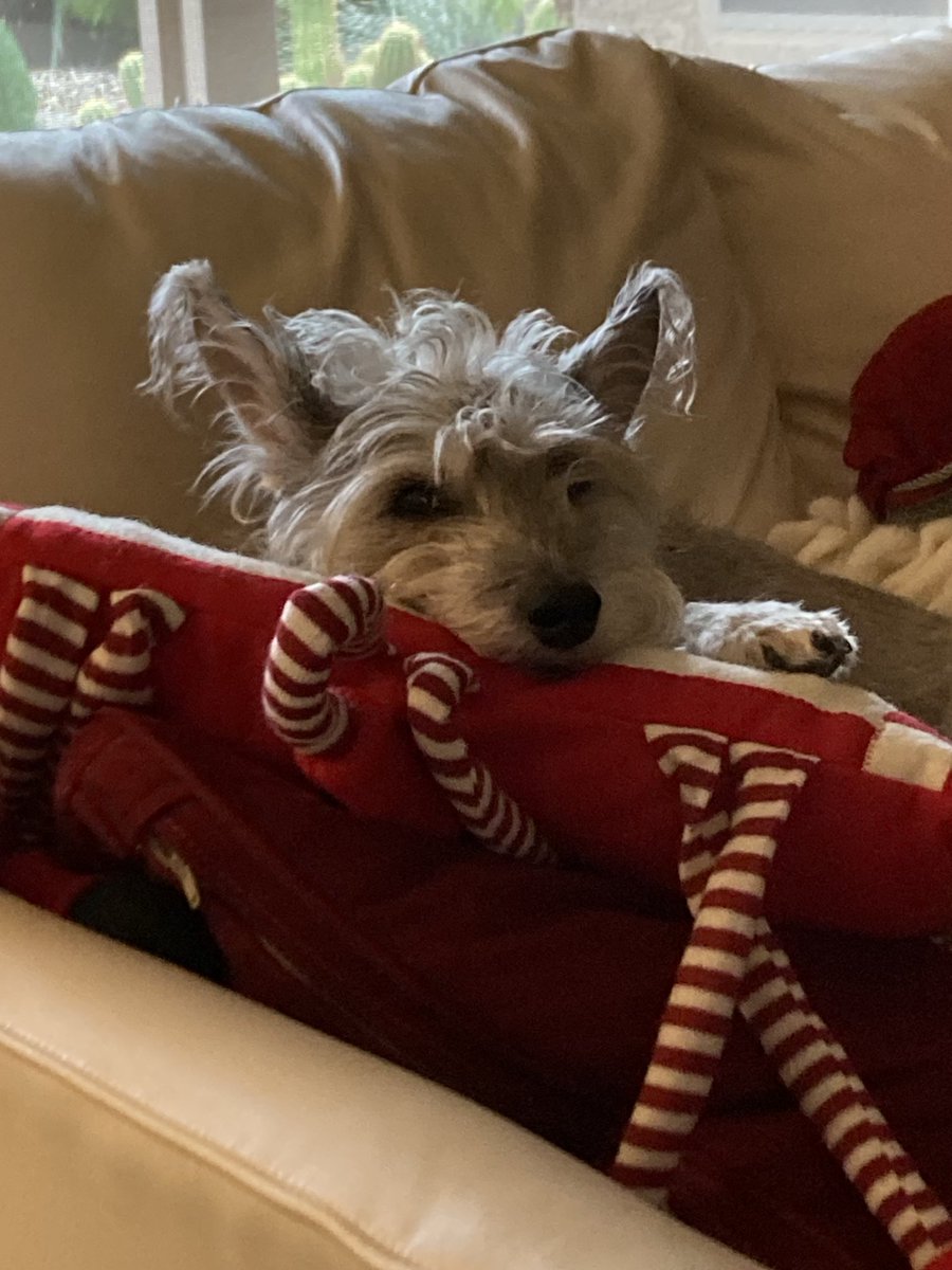 unbought_AI's tweet photo. Happy holidays! https://t.co/WhuXXD12pF