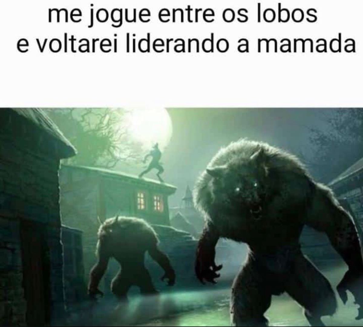 shitpostverdade's tweet photo. https://t.co/j6M46tcRN0
