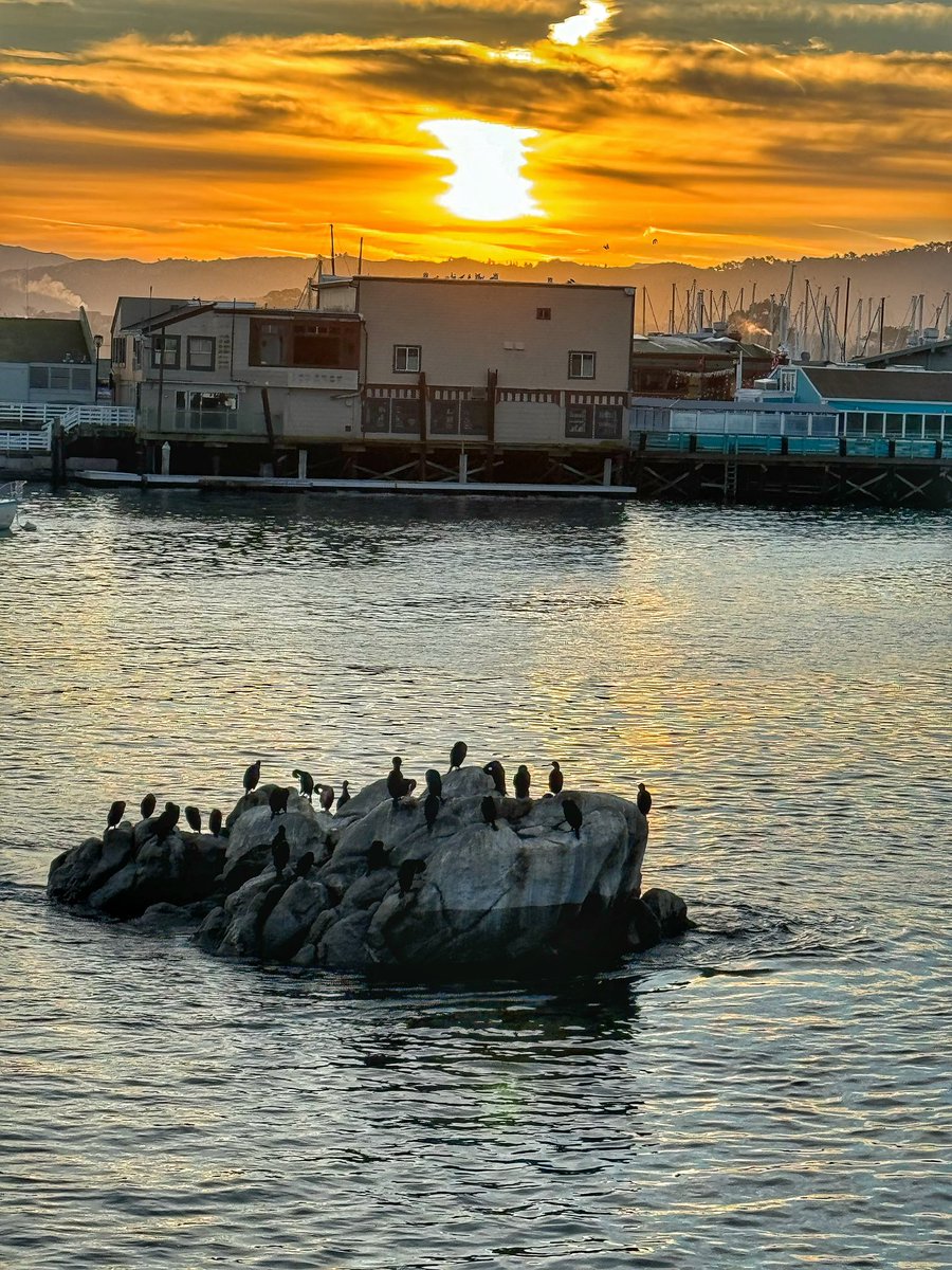 setting the circadian clock…and California winters aren’t so bad 🌊☀️🙌🏼⏰ #Match2024 #California #CaliforniaLiving #NatureLover #OptOutside @StanfordSurgery @OpNotes @hubermanlab