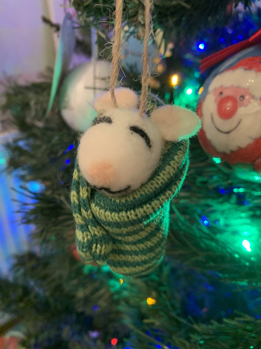 LynnParsonsUK's tweet photo. Twas the night before 🎄🎄🎄Christmas & All through the House ~ not a Creature was stirring, Not even a #MellowMagicMouse Come On In & Feel the Love ❤️7pm #EveningShow #MellowMagicDigital https://t.co/yUYWKPkwtY