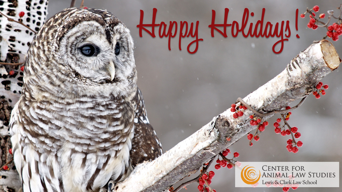 All of us at the @CALSAnimalLaw send holiday greetings and warm wishes of gratitude for all you do to support our work to protect animals around the world. 🧡