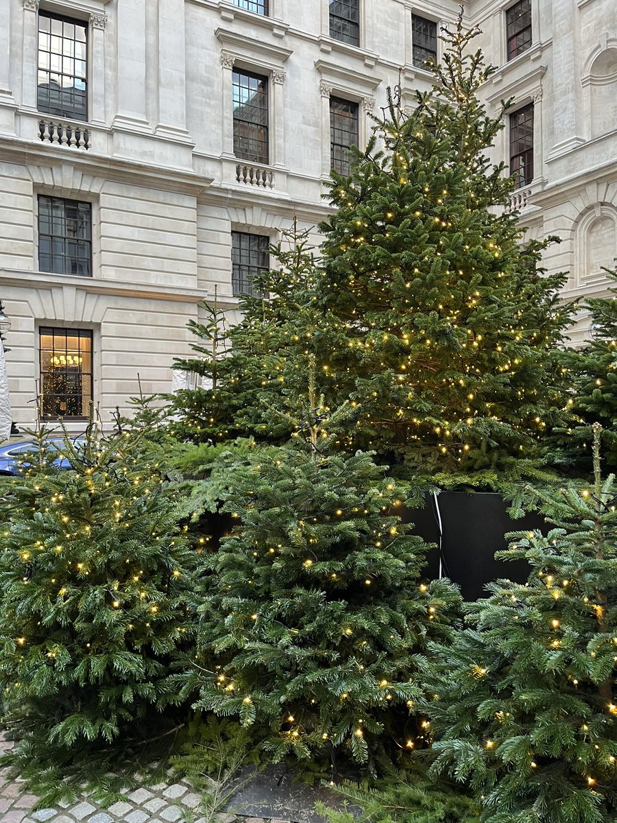 Merry Christmas! 🎄