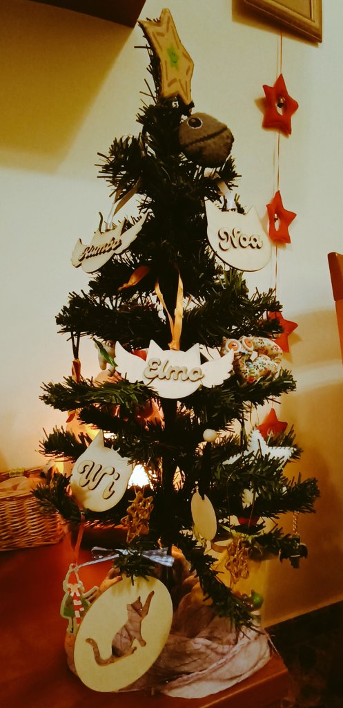 carpomares's tweet photo. 24 de diciembre. Momento de montar el árbol y ¡feliz Navidad! https://t.co/nG1VlaVeSt