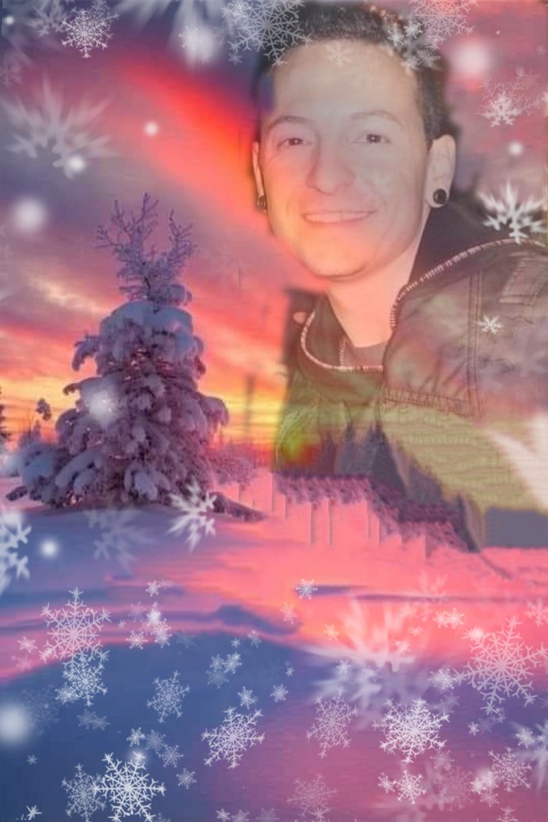 Dear LP-Family 
I wish you all Merry Christmas 😘🎄🎅❤