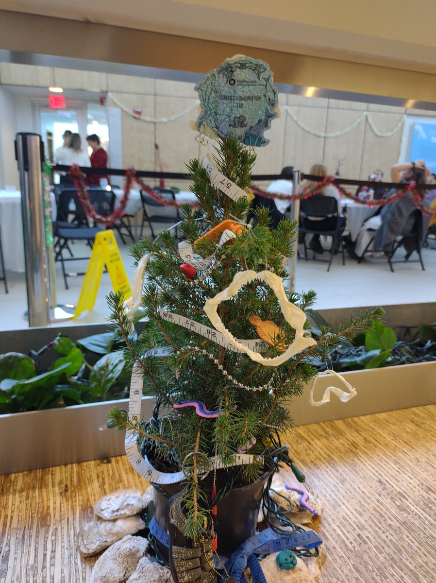 E_Andersonii's tweet photo. We wish you a merry fishmas! https://t.co/CaIyman0db