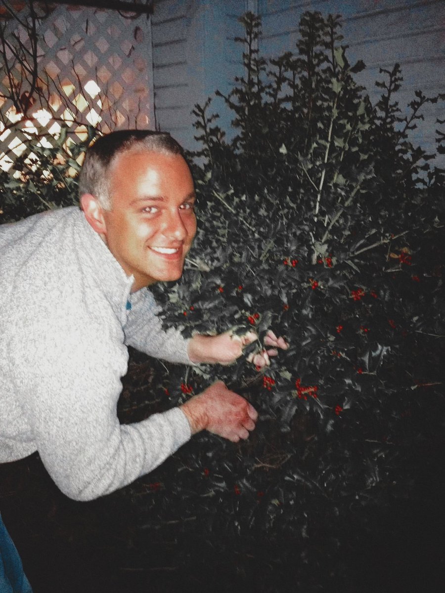 david_b_queen's tweet photo. #hollybush #holly #nature #hollyberries #christmas #snow #bar #winter #otashi #gunma #gunmaken #home #garden #ota #naturephotography #gardening #hollyberry #mountoliphant #troon #alloway #plants #berries #hollytree #redberries #ayr #ayrshire #holidayhomes #caravan #heating #boilers