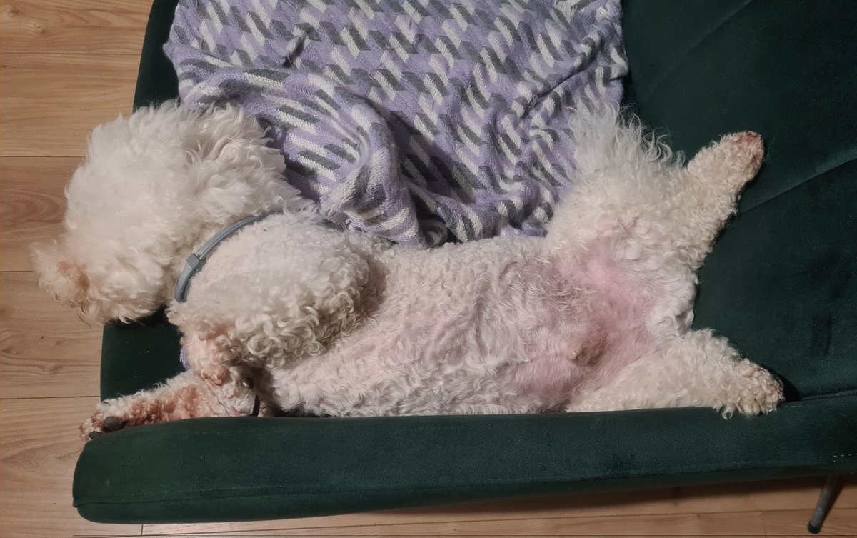 Piotr - Pogotowie IT tweet media