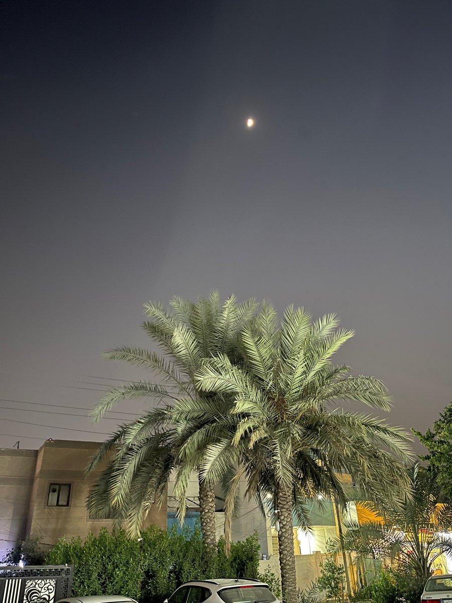 ZahraSociology's tweet image. The most beautiful #moon in the most beautiful place in the world. #Baghdad 🌴❤️ #فوق_النخل #Iraq