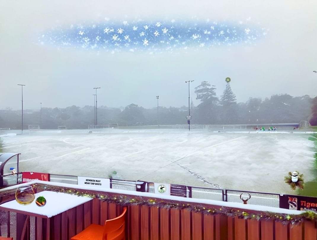 Merry Christmas from our Seddon Fields Winter Wonderland.
🎄💚🎄💚🎄

From our family to yours, we hope you all have an amazing day.

From WSAFC Executive, Senior and Junior Committees, and our amazing Coaches and Staff. 💚
