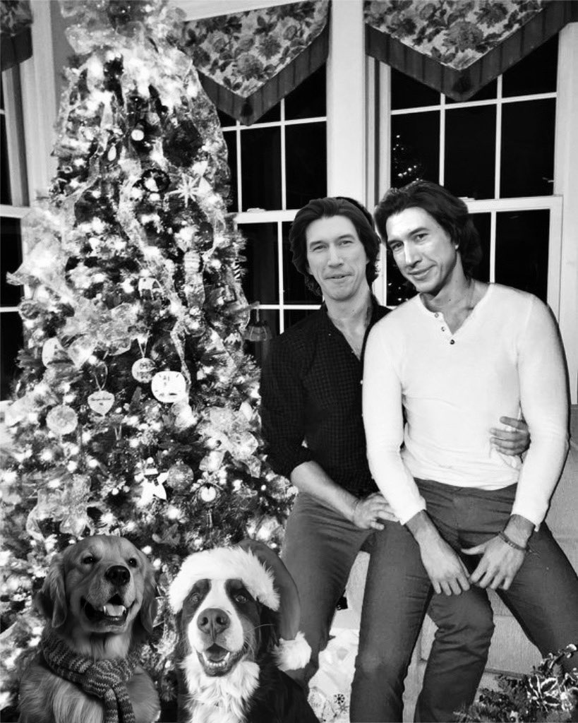 Not pictured is Damon who is too cool for the cheesy family photo this year 🎄💚❤️

#VeroAmore