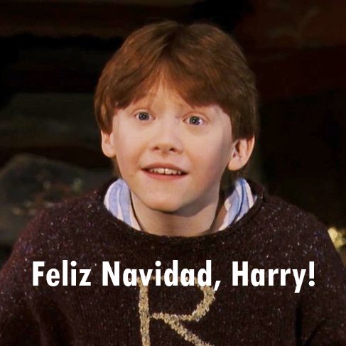 El Profeta tweet media