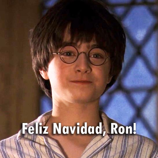 El Profeta tweet media