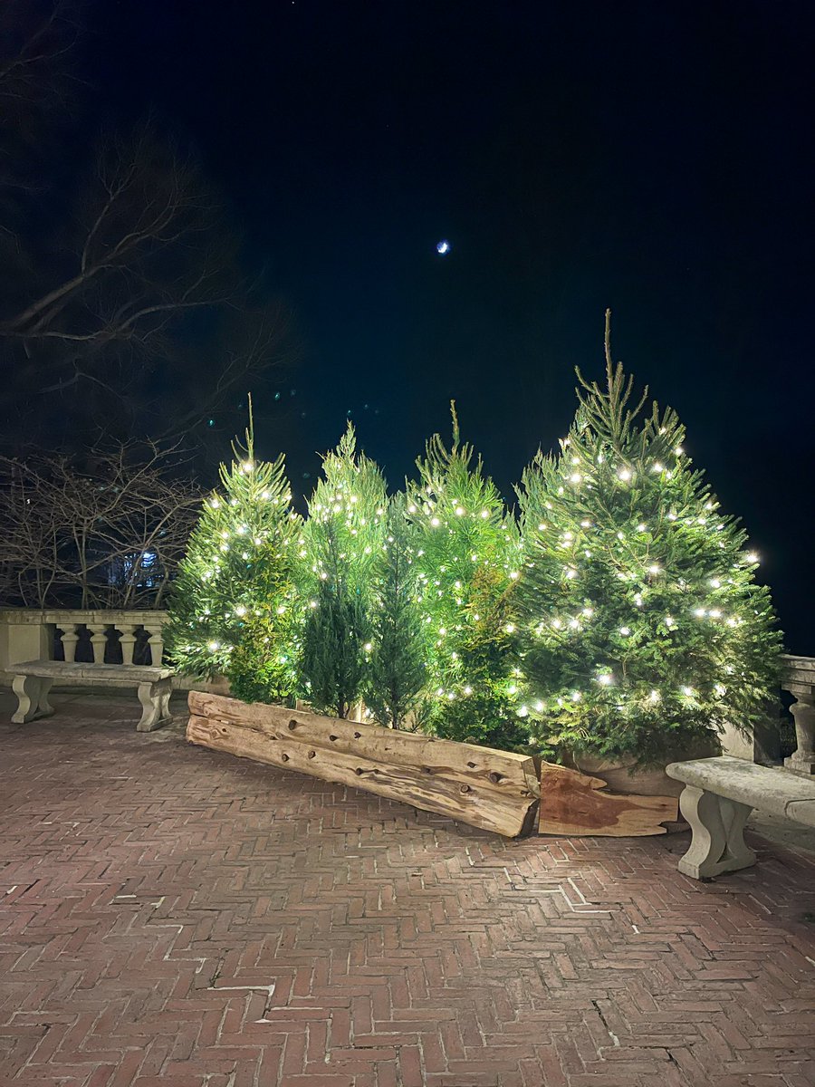 ๐ฅ๐๐๐พ๐
๐๐ ๐ป tweet media