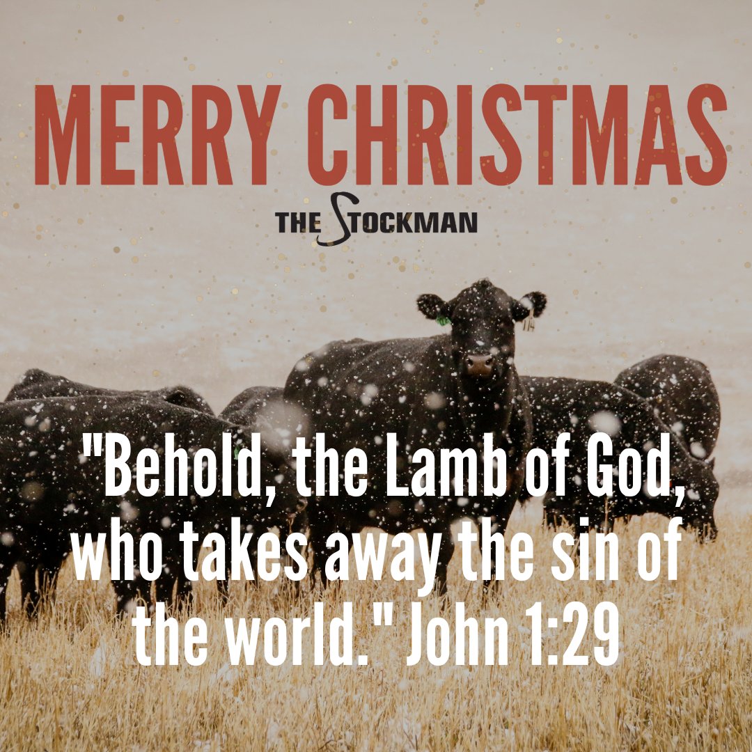 Whether you're sitting at a table surrounded by friends and family, feeding cows, or tending to a first-calf heifer, take a moment to remember the reason for the season.
#thestockman #morethanahobby #cattle #agriculture #livestock #ranching #farming #cattleoperation #cows
