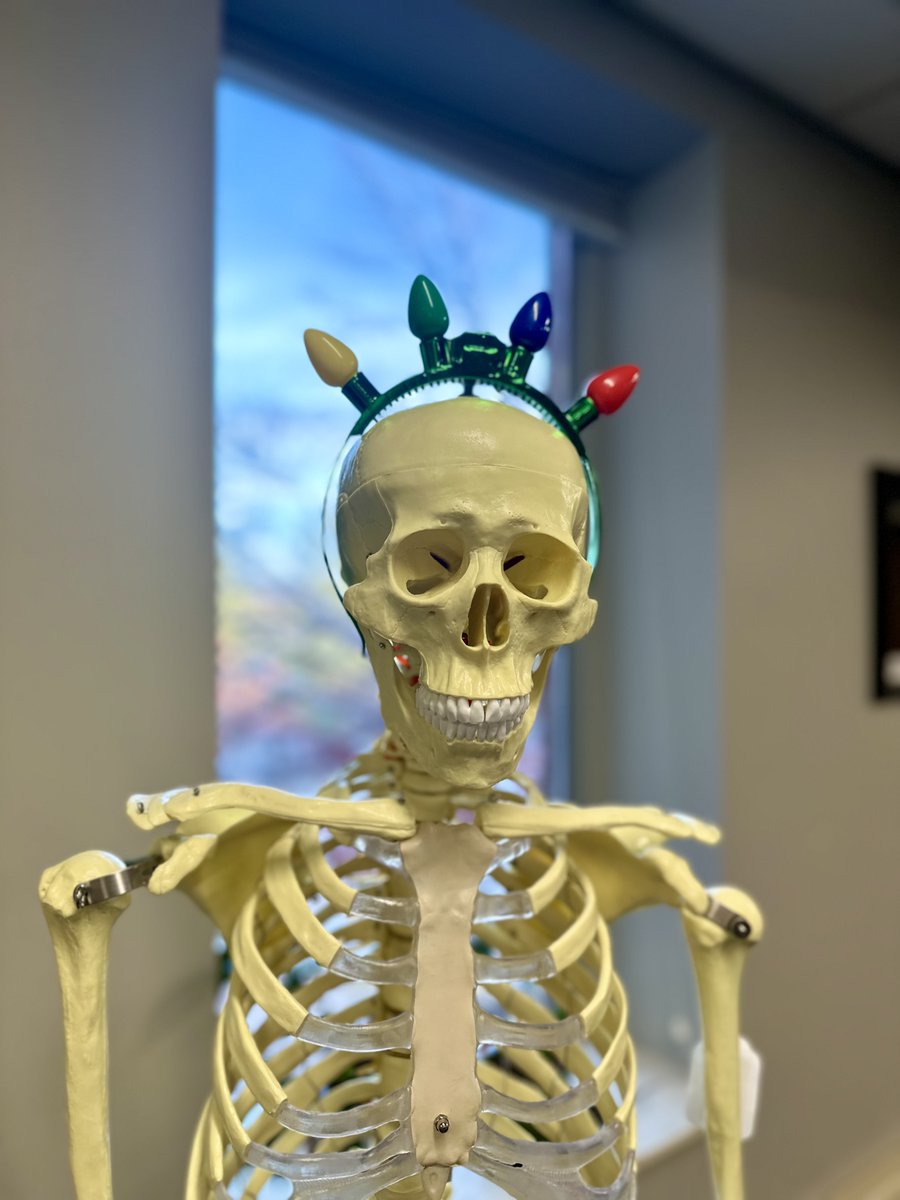 Happy Holidays from all of us at NWHSU❄️ We wish you a safe, festive and restful break - you deserve it!