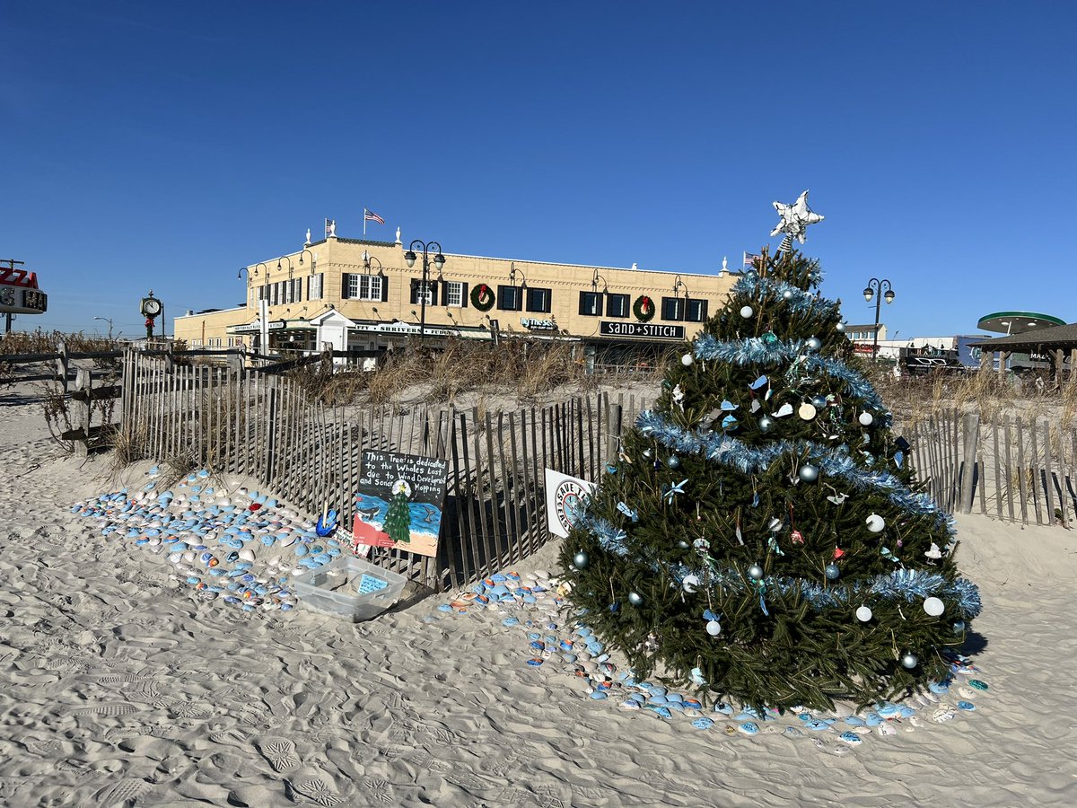 BuddyCrafted tweet media