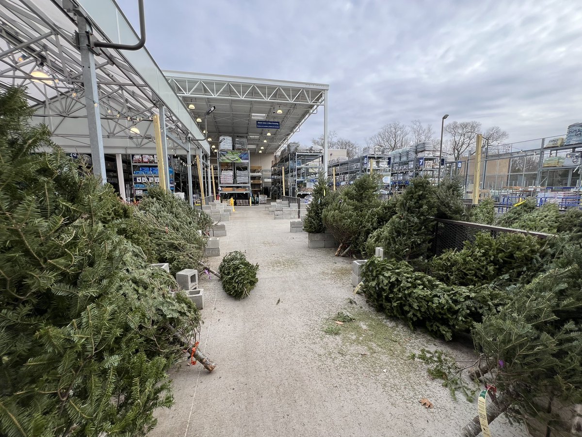 BuddyCrafted tweet media