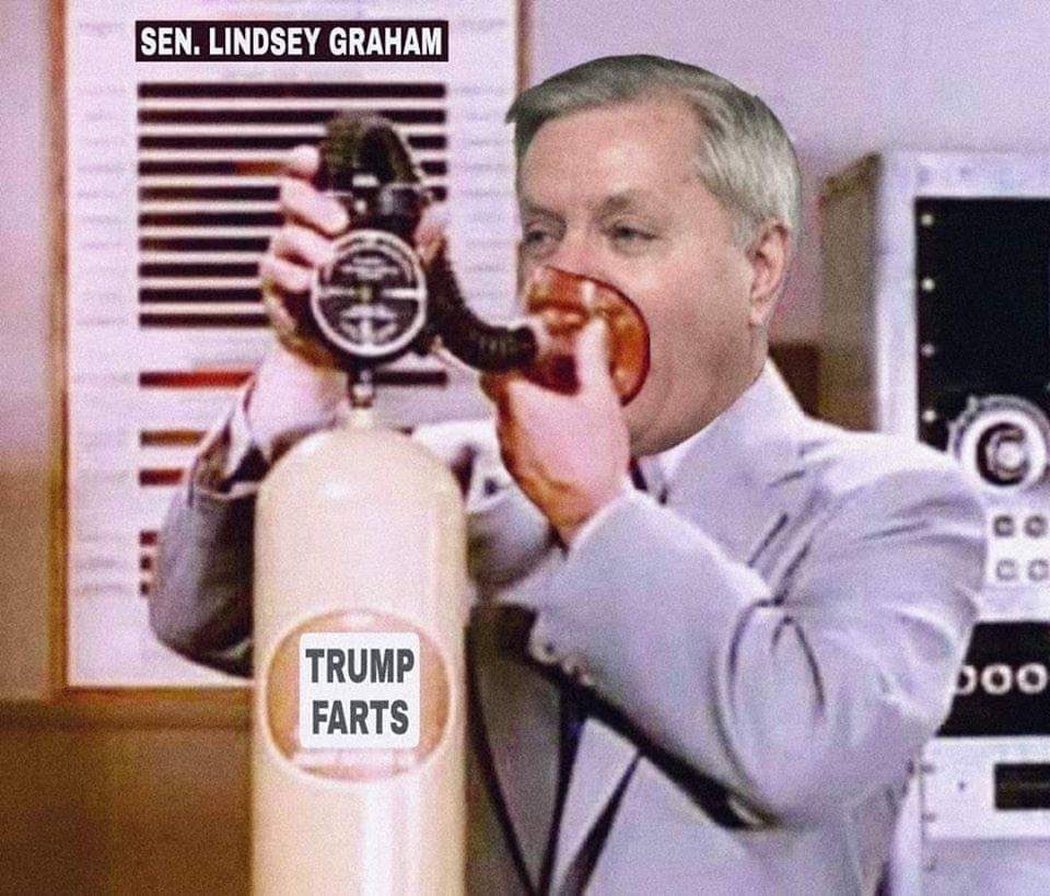 @LindseyGrahamSC This guy #LeningradLindsey doesn't know which way to turn next. 
Sorry about yer luck, chump.

And btw how does #TrumpSmell ??
