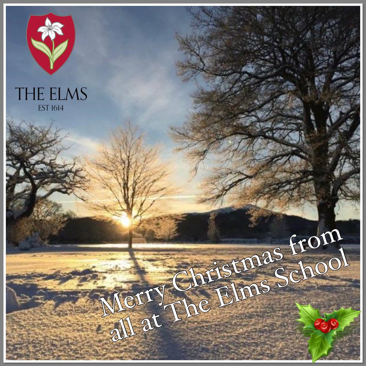 The Elms School (@theelmsschool) on Twitter photo 