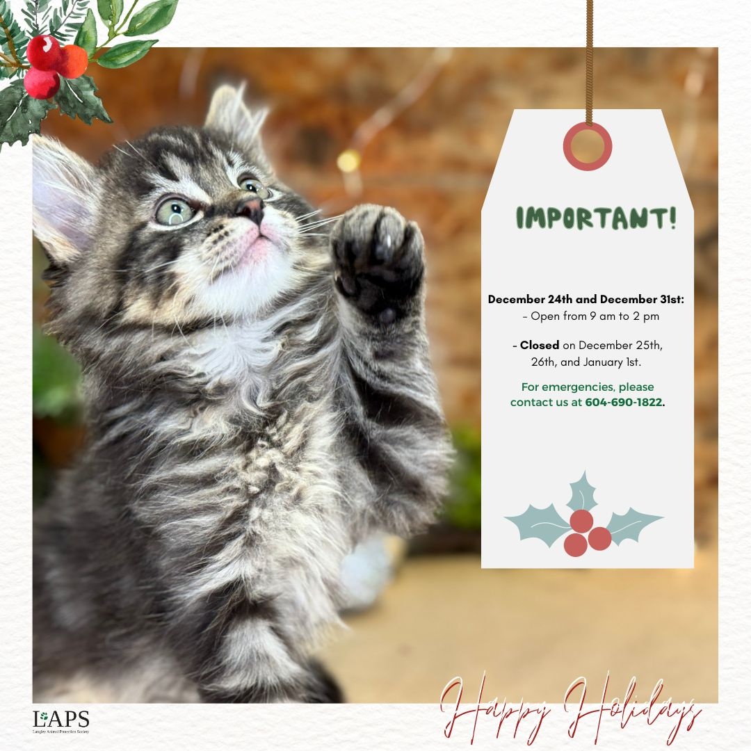 Langley Animal Protection Society tweet media