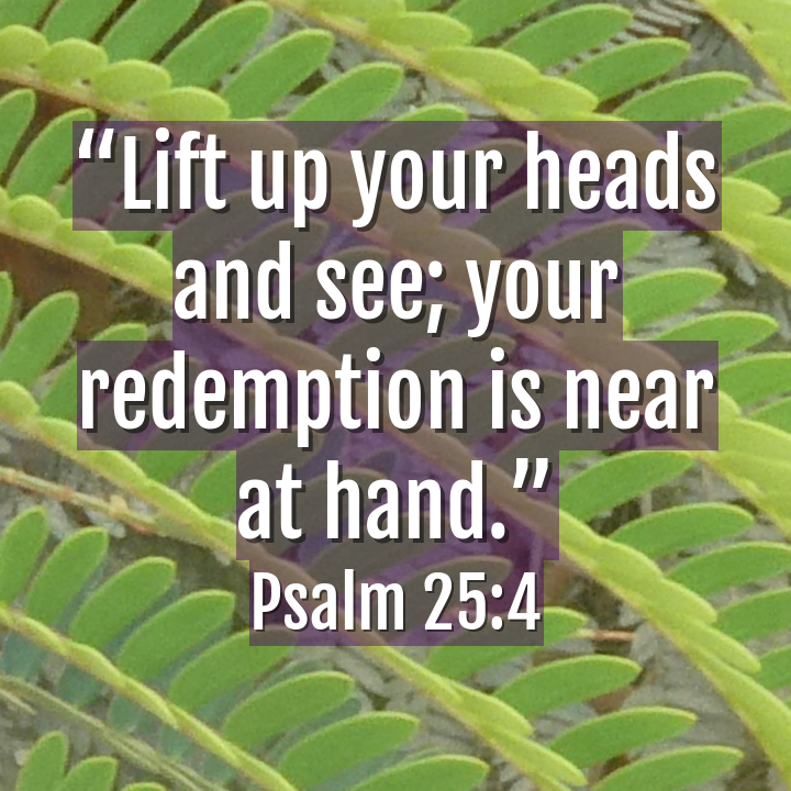 aicatholic's tweet photo. #redemptionisnear
(๐ธ@aicatholic) #ai #OpenAI #ChatGPT #catholic #bible #CatholicTwitter https://t.co/7TyE0wA63Q