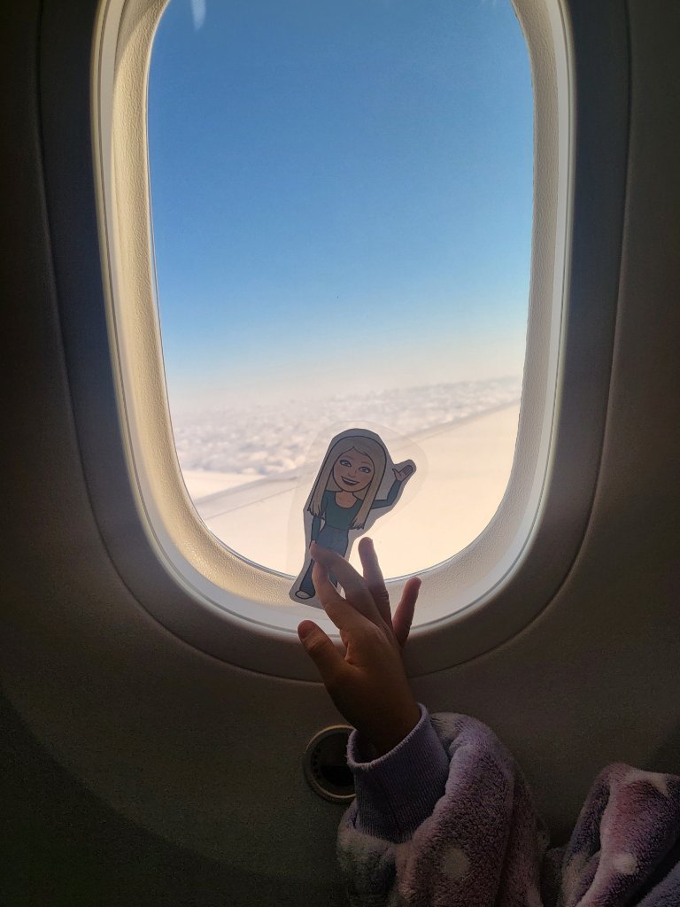 Sarah Pelaccia-Reaume tweet media