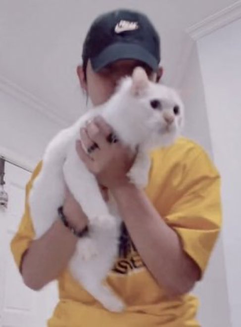 MusicLoverEve's tweet photo. Not a cat person pero pwede ba ampunin?  Hahaha 

#SB19_PABLO https://t.co/PdM9DLdyFG