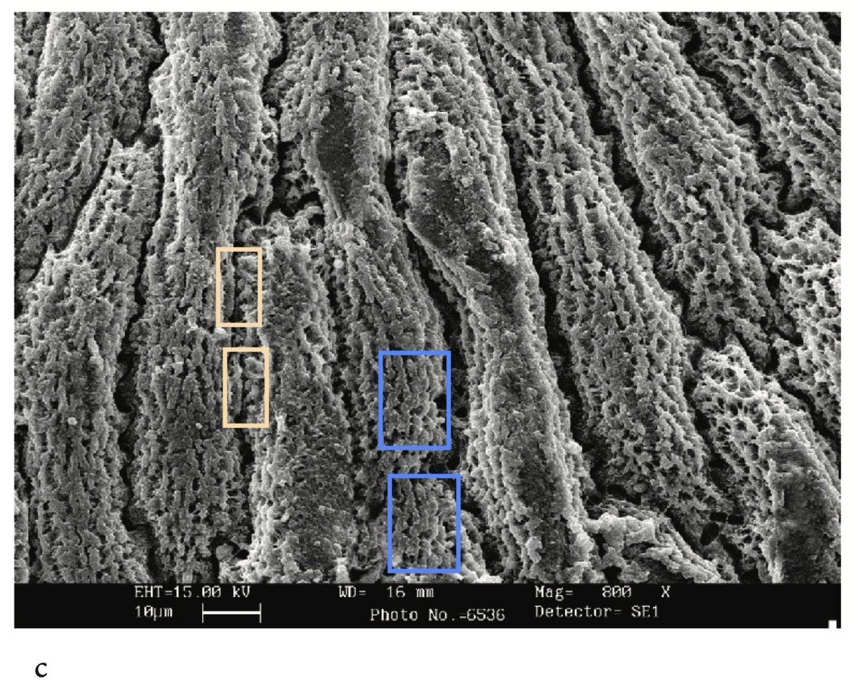 MicrobiomDigest tweet picture