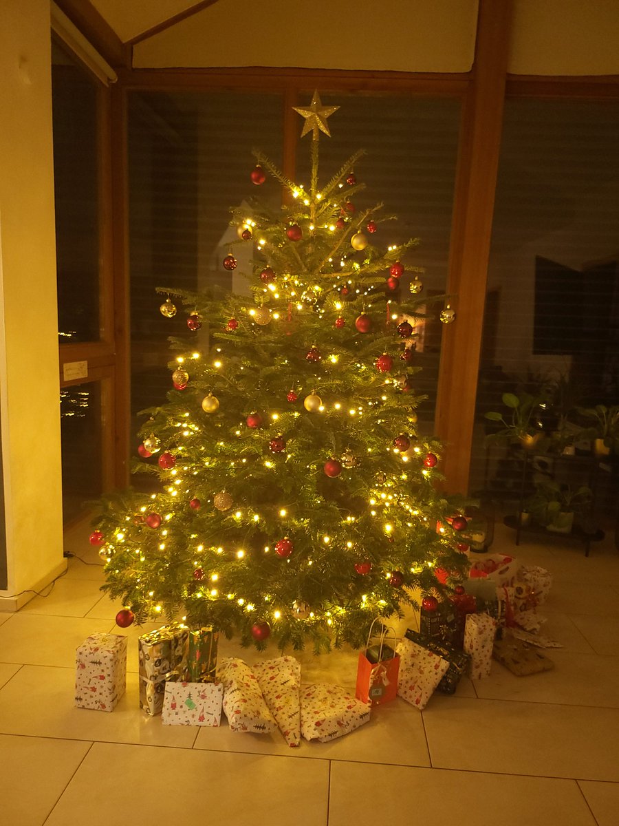 SonicFlori tweet media