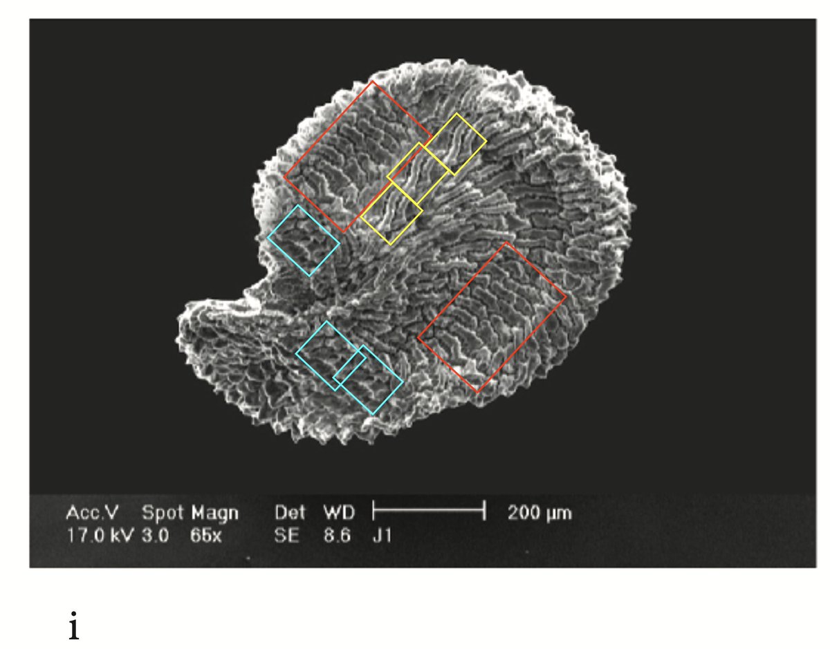 MicrobiomDigest tweet picture