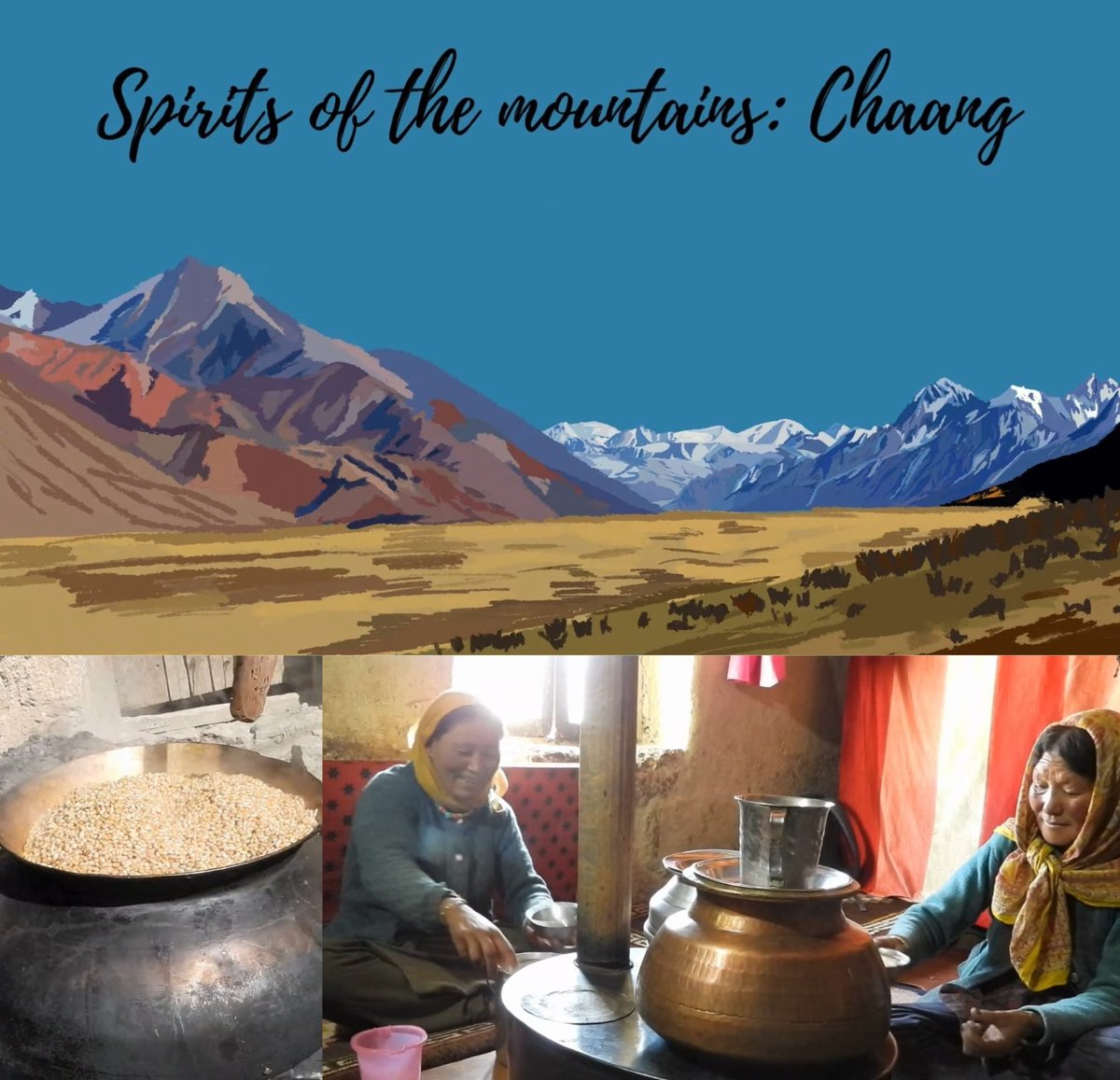 SnowLeopardNet's tweet photo. Discover the legacy of #chaang, the high-altitude barley beer 🍺
Climate-resistant barley enabled high-altitude Tibet living but it now faces market challenges. This #holidayseason, explore barley brewing art & it's cultural significance 🏔️ @himkatha
🎥 https://t.co/6sUMKKzJlE https://t.co/wkAywmq15Z