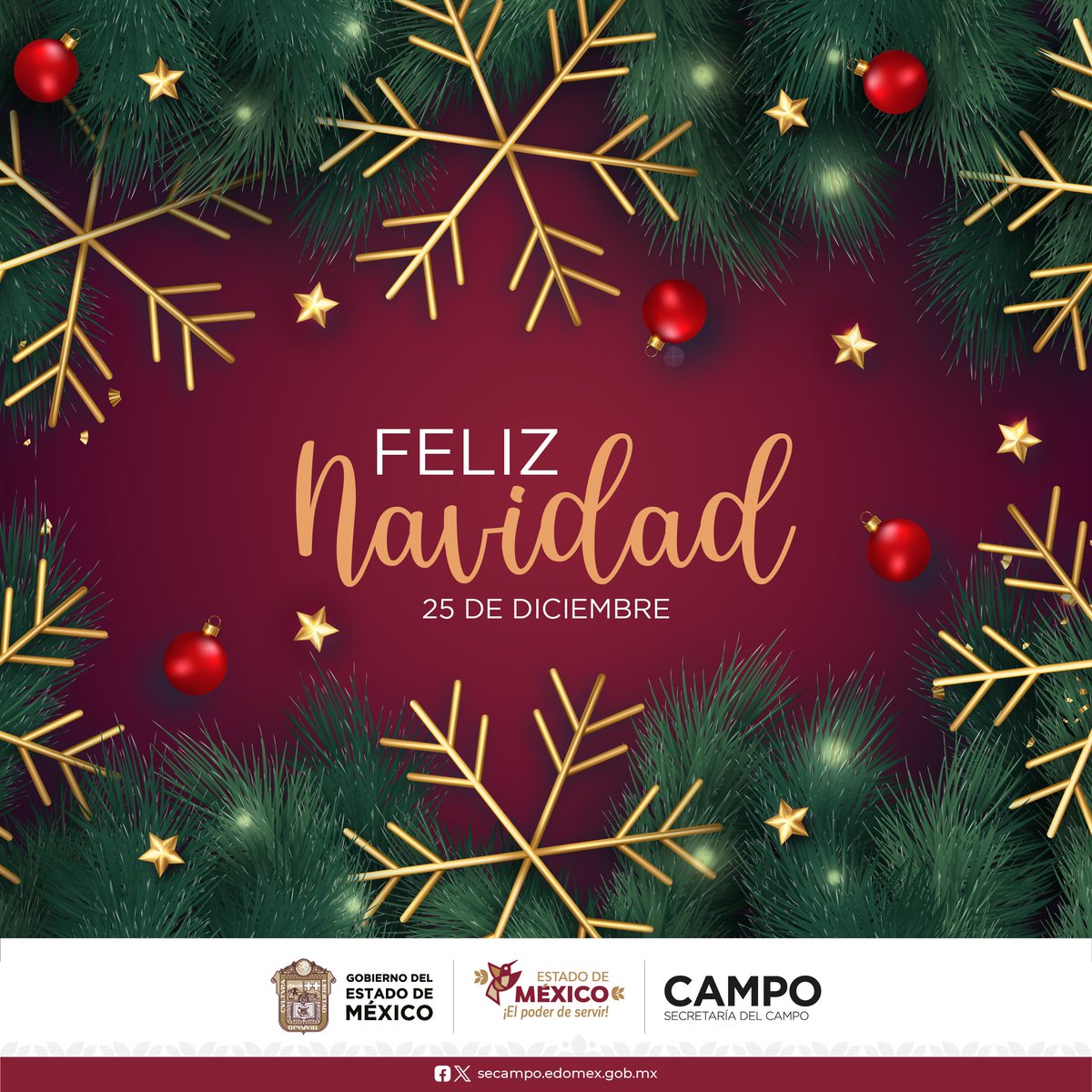 CampoEdomex's tweet photo. 🎄La @CampoEdomex, les deseamos una muy bonita Navidad, esperamos de todo corazón que estén en compañía de sus seres queridos.

✨Gracias por ser parte de esta hermosa comunidad.
#ElCampoQueSirve #RenacerDelCampo https://t.co/1V8vn22U8R