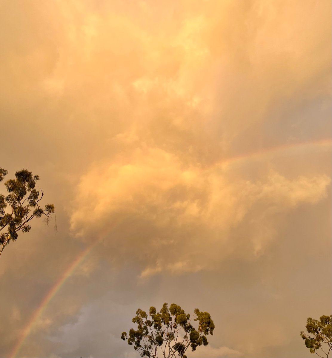 lotusfairies (@lotusfairies) on Twitter photo 