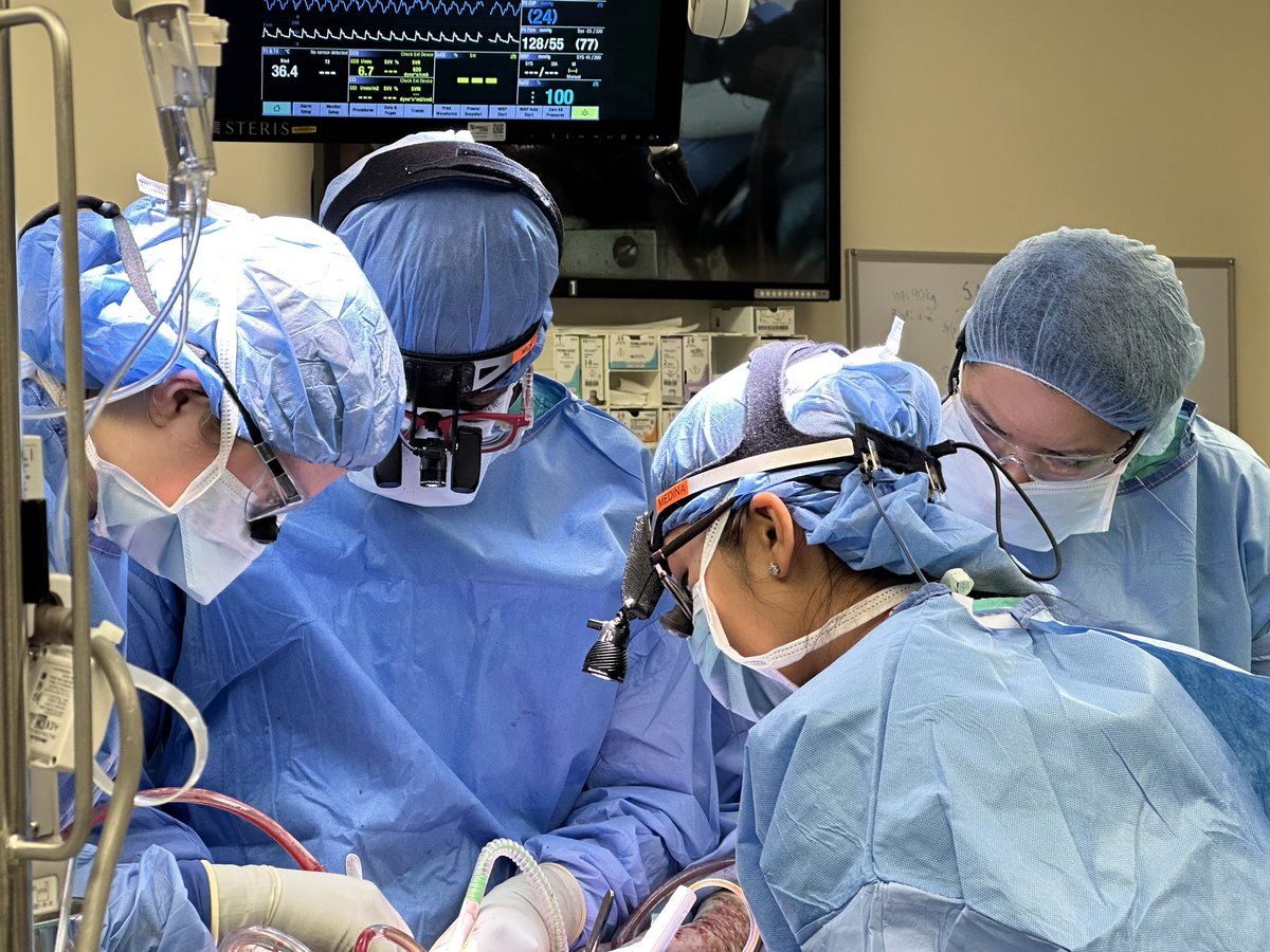 Duc Thinh Pham, MD (@dtpham_cvsurg) on Twitter photo Raindrops on roses and whiskers on kittens, Bright copper kettles and warm woolen mittens, Santa’s helpers saving a life, These are few of my #favoritethings. <a href="/mgomedina/">Melissa Medina MD</a> <a href="/NMCardioVasc/">NM Cardiovascular</a> Raindrops on roses and whiskers on kittens, Bright copper kettles and warm woolen mittens, Santa’s helpers saving a life, These are few of my #favoritethings. <a href="/mgomedina/">Melissa Medina MD</a> <a href="/NMCardioVasc/">NM Cardiovascular</a>