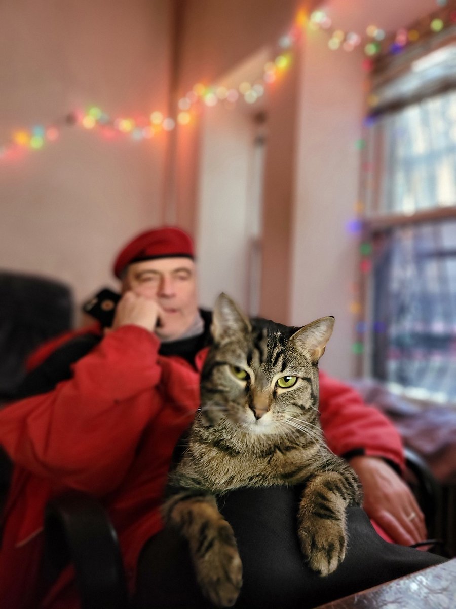 Happy Holidays from the Sliwa family! -Curtis, Nancy & the Kitties 😸 ❤️ #MerryChristmas #HappyHolidays #NYC #Christmas #ChristmasEve