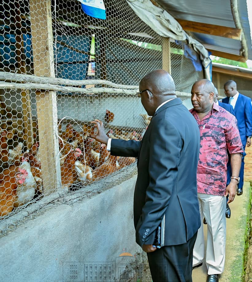 Ntare Rushatsi House tweet media