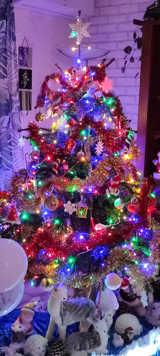 SamSam19904's tweet photo. Joyeux #Noel ! 🕯️🎄❤️✨ https://t.co/X5Qrdxr0fT