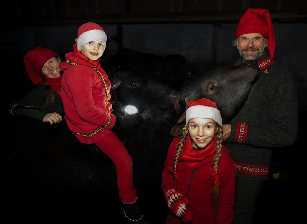 Puhvelipoppoo toivottaa hulinavilitiptapjoulua kaikille! Ei saapunut tänäkään vuonna se rauhallinen juhlaversio tänne Puulan rantaan, samalla räminällä ensi vuoteen 🥳