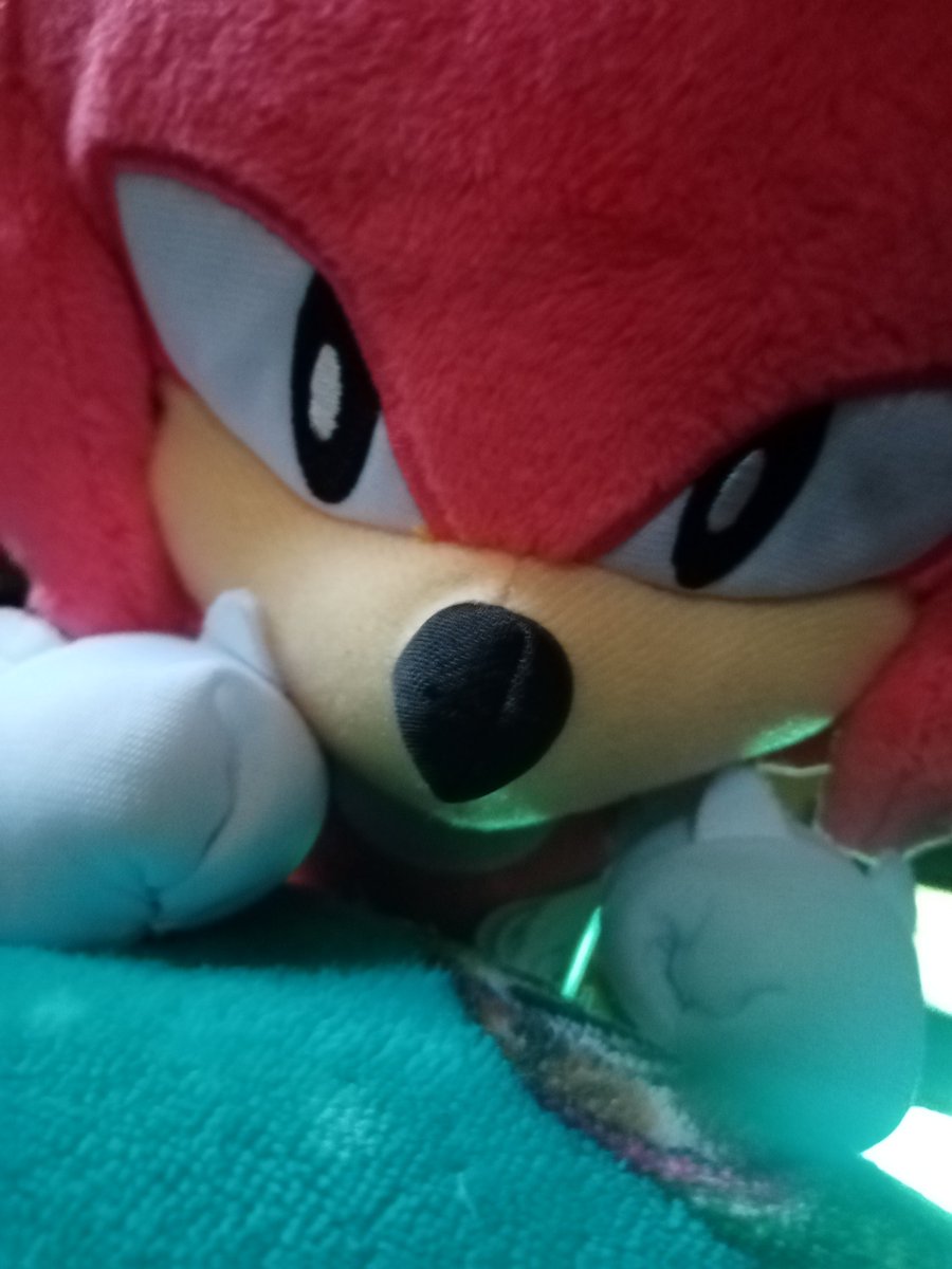 Ya estan listos para noche buena uwu 🌹✨✨
#Knucklestheechidna #mightythearmadillo #sonic #feliznoche