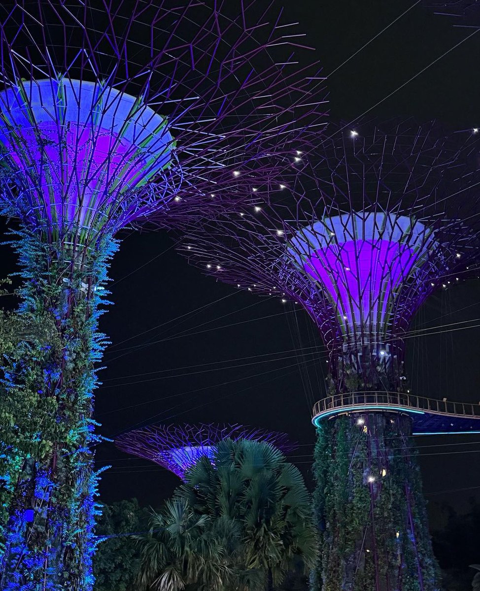 ִ (@rveigasep) on Twitter photo 