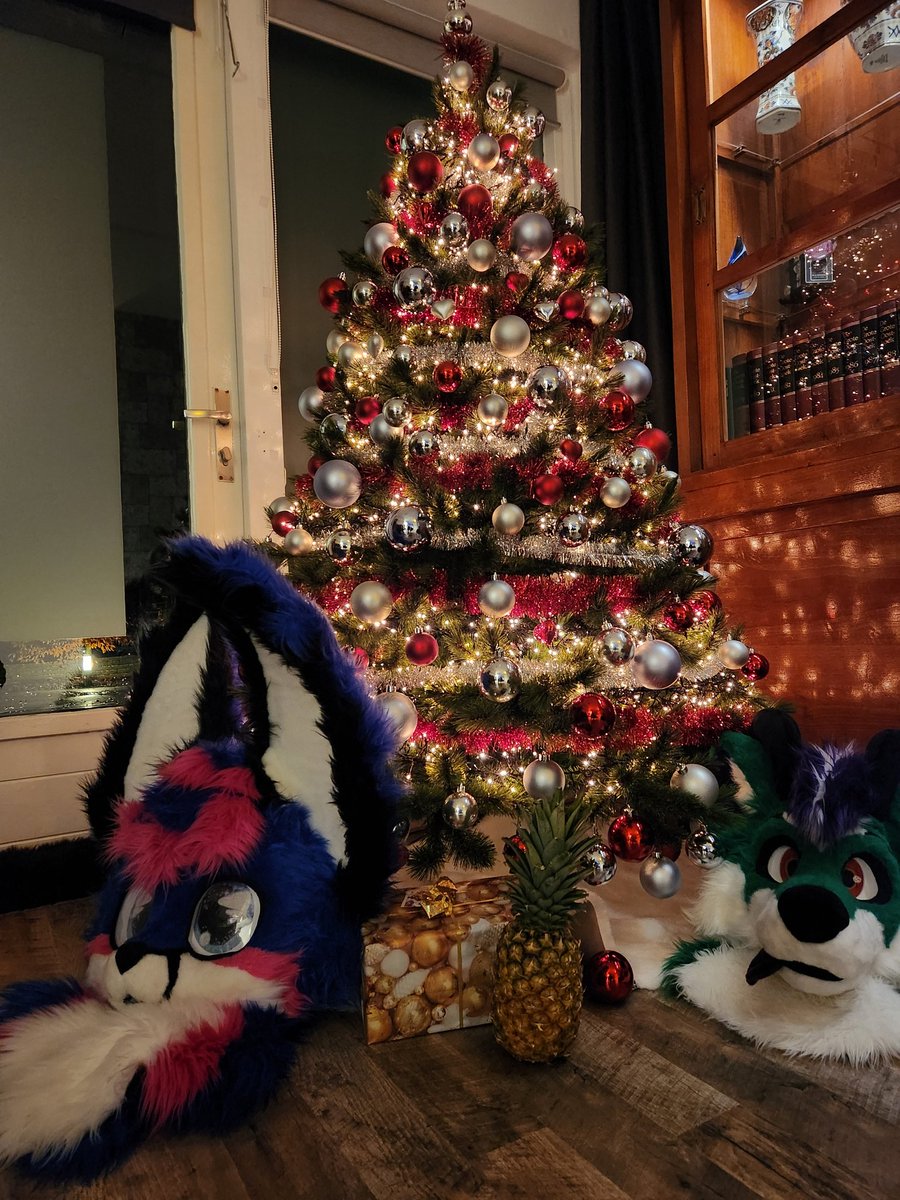 🎄Merry Christmas, furriends! 🎅🌟 Just a whisker away from the paw-some Furvester convention! 🎉🐾 May your holidays be filled with joy, presents, and fruity festivities. 🎁🍍#MerryChristmas #furry #FurvesterCountdown #Annanas 🎆🎇