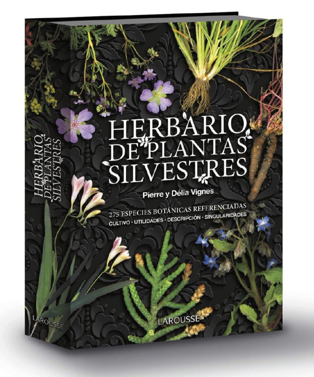 ──── A su <a href="/HANAN0HIME/">Lovelace</a> para a regalarle el siguiente libro , para que luego se queje de que como la trata  ──── .